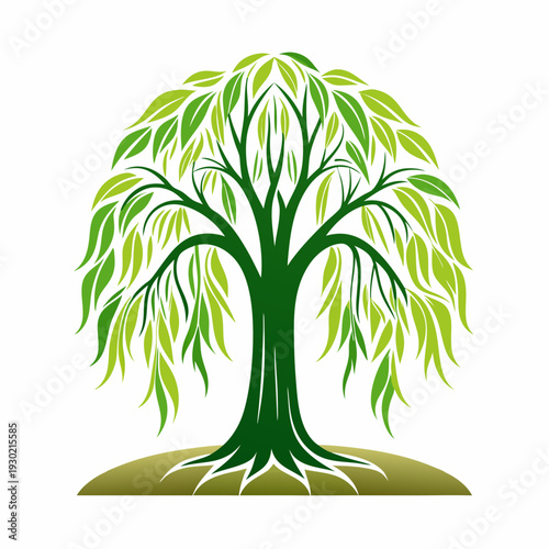 Vibrant green weeping willow tree logo illustration