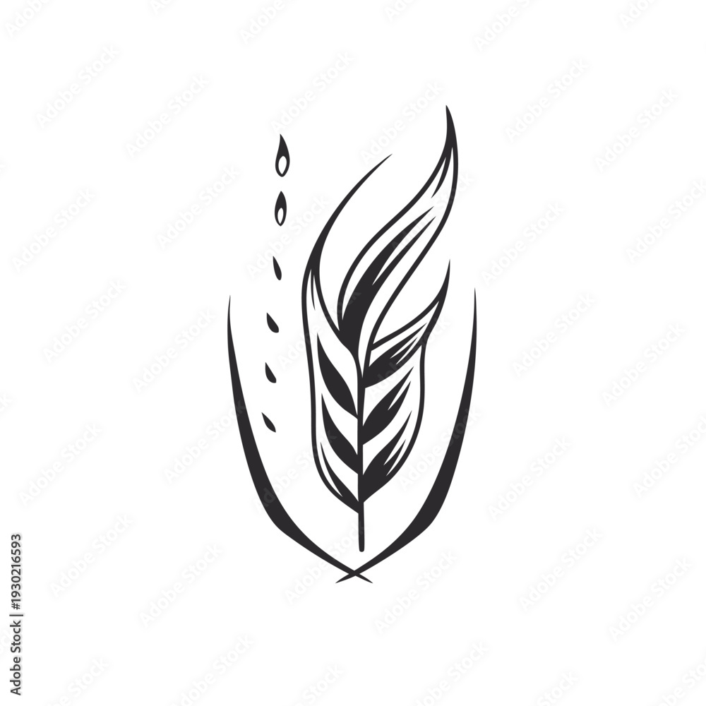 Obraz premium feather isolated on white background