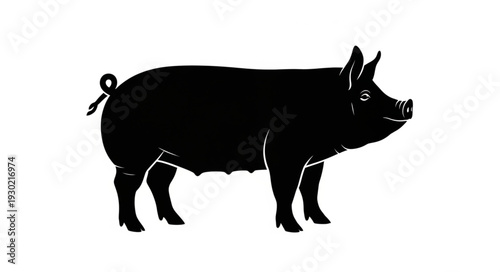 Black Silhouette of Pig Standing.