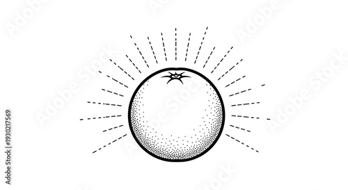 Minimalist Orange Fruit with Sunburst Rays, Line Art, Stippling, Vector Graphic