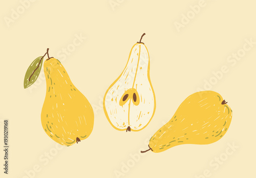 Fruit set of whole and halved pears on light yellow background; simple cute vector illustration, drawing, hand-drawn with brush strokes in flat style