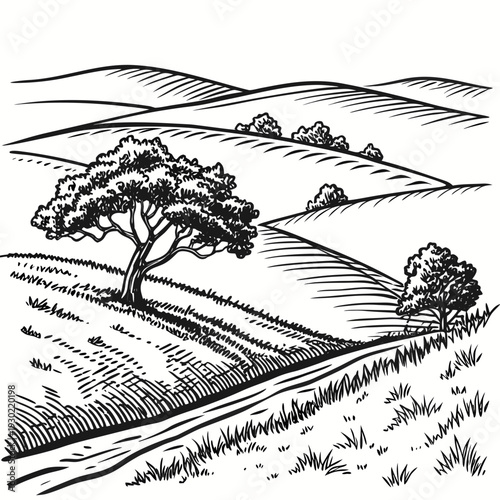 Fényképezés Classic Engraving Style Black and White Rural Landscape Illustration of Rolling