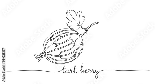 Hand-drawn Gooseberry with Leaf and "tart berry" Text - Minimalist Line Art