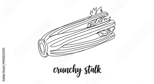 Hand-drawn illustration of a single crunchy celery stalk with leaves and text.