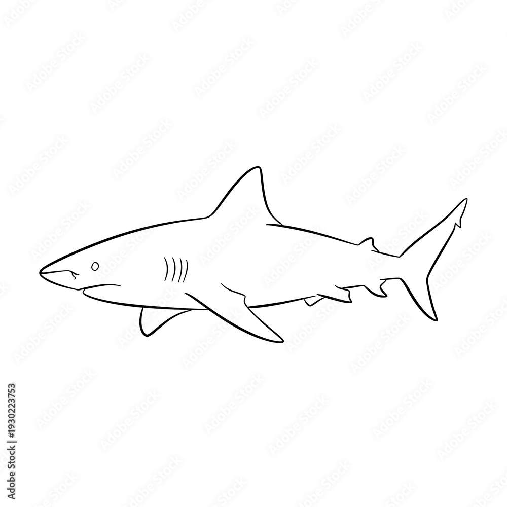 Obraz premium Black and white shark illustration drawing.