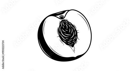 Fresh Peach Half with Pit, Black and White Line Art Illustration, Isolated on White