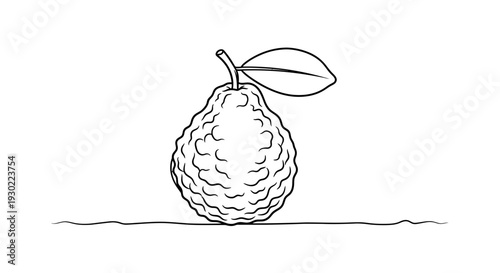 Hand-drawn line art illustration of a ripe guava fruit with a leaf on a white background