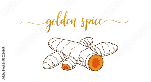 Golden Spice Turmeric Root Illustration with Handwritten Text