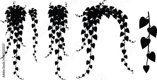 Black heart shaped leaf vine silhouettes heart shaped leaves plants