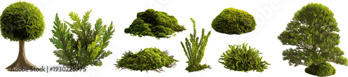 Set of various types of moss isolated on a white background