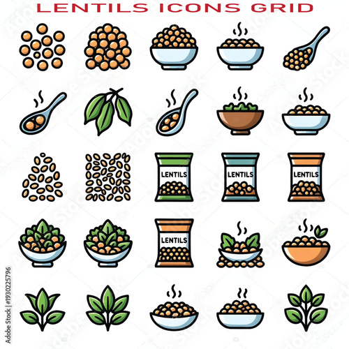 Lentils Vector Illustration Healthy Legumes Isolated on White Background