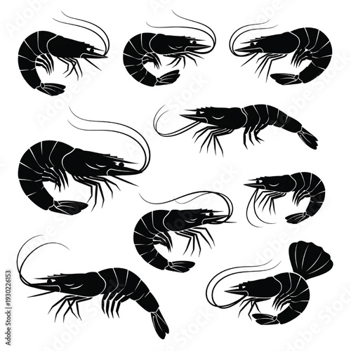 Shrimp silhouette set with black seafood crustacean icons in multiple poses, minimalist vector style isolated on white background