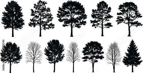 Collection of twelve diverse tree silhouette illustrations showing seasonal variations, 