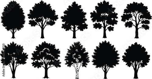 Set of ten diverse tree silhouette illustrations with unique foliage patterns and branching structures, including birch tree design, ideal for botany, forestry, landscape, and artistic projects.