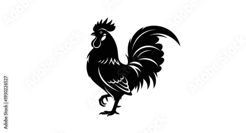 Black Silhouette of Rooster Standing.