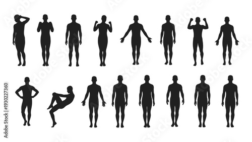 A group of black silhouettes of people in various poses isolated on white background, Vector