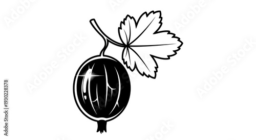 Black and white illustration of a ripe gooseberry with a leaf on a white background
