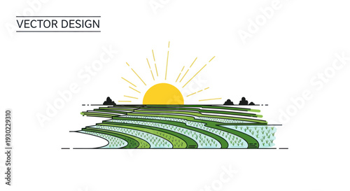 Sunrise Over Terraced Rice Fields - Vector Illustration
