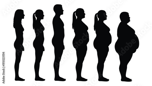 A series of silhouettes showing weight gain in women isolated on white background, Vector