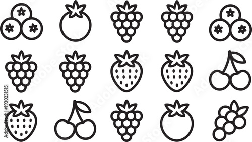 Black and white set of fruit berry strawberry cherry pomegranate