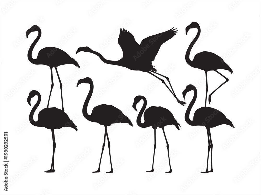 Fototapeta premium Black silhouette flamingo set featuring various poses vector on white illustration. Black flamingo silhouettes set