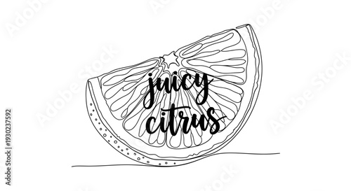 Juicy Citrus Slice Line Art Illustration - Fresh Fruit Graphic