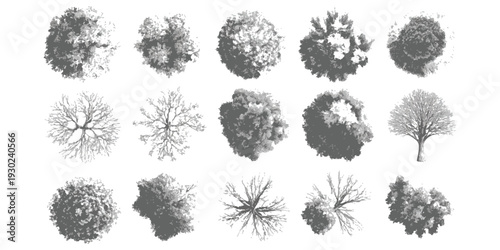 Set of architectural tree plan symbols for landscape design and site mapping in a hand-drawn sketchy vector illustration style