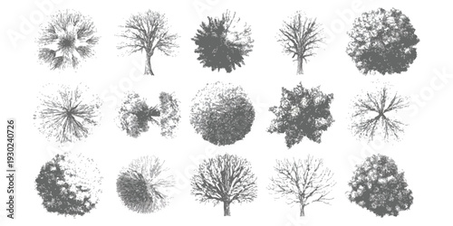 Collection of various hand drawn tree sketches and silhouettes for architectural site plans and landscape design vector illustration