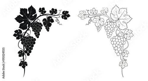 Elegant grapevine arrangements a black silhouette and a detailed line drawing