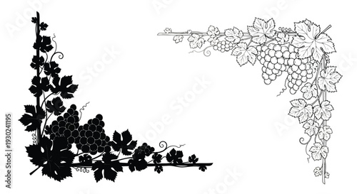 Elegant black and white illustration of grape vines and bunches of grapes