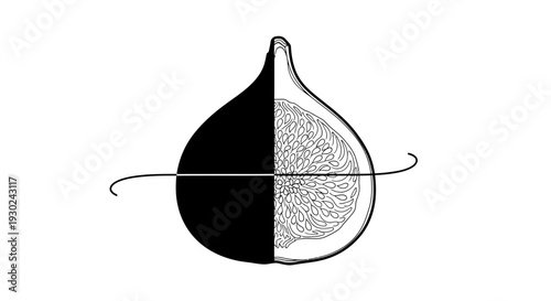 Half Black Half White Fig Cut in Half with Swirl Line