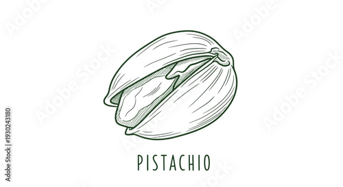 Hand Drawn Sketch of a Pistachio Nut with Open Shell, Isolated on White Background