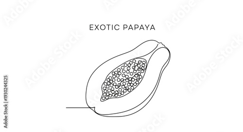 Exotic Papaya Slice - Minimalist Line Art Illustration