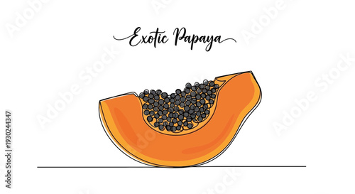 Exotic Papaya Slice with Seeds, Fresh Tropical Fruit Illustration