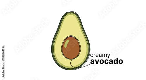 Creamy Avocado Half with Pit, Healthy Food Illustration, Isolated on White Background