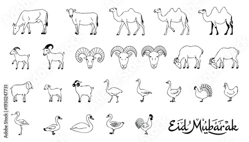 Elegant Eid Mubarak Islamic greeting card with decorative crescent moon and standing goat silhouette traditional Eid al Adha festival vector illustration with lantern and stars