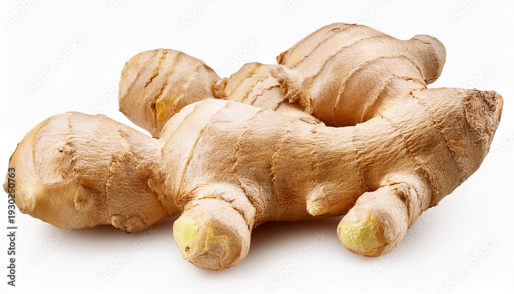 Fototapeta premium Fresh Ginger Root Or Rhizome Isolated On White Background Cutout