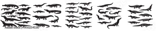 vector set of crocodile silhouettes