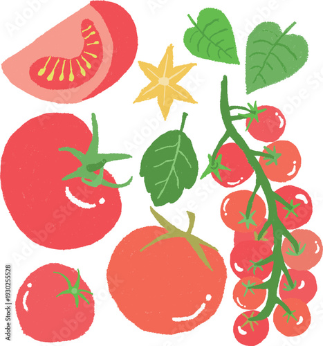 크레파스로 그린 것 같은 느낌의 과일 손그림 토마토