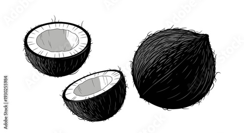 A black coconut and two halves of a coconut, drawn in a sketchy black and white style