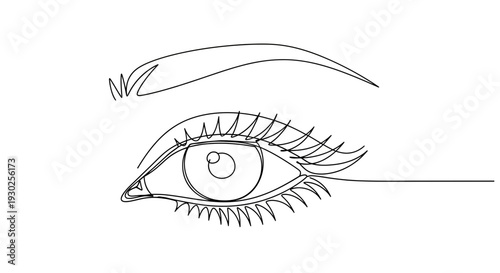 Minimalist Single Line Drawing of a Woman's Eye and Eyebrow, Elegant Beauty and Makeup Concept