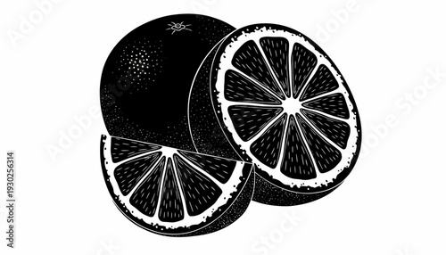 Illustration of citrus fruits, oranges and lemon slices, fruit halves, isolated on a clean background, studio lighting, high contrast, vector graphics