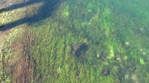 Sunlight dances on the pristine river, illuminating the lush, vibrant riverbed. This tranquil waterway winds through the breath-taking Los Alerces National Park in Patagonia, Argentina.