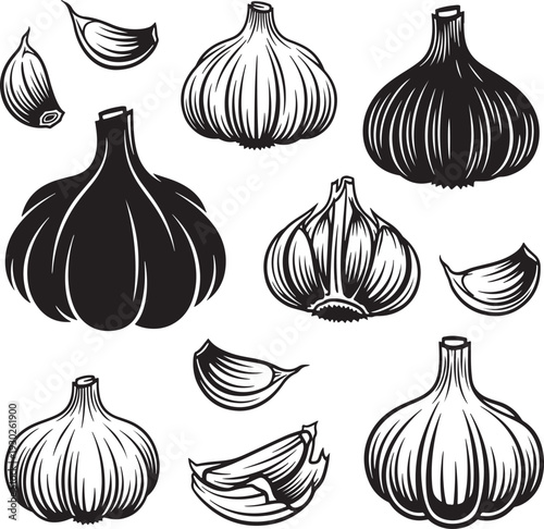 Black and White Garlic Illustrations with Bulbs and Cloves