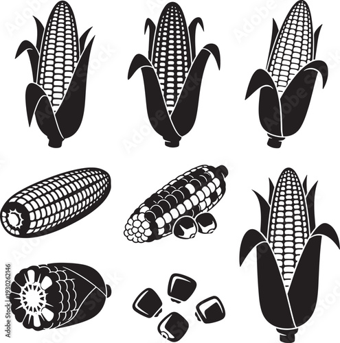 Black and White Corn Vector Illustrations