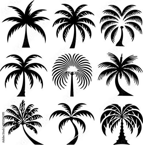 Set of Tropical Palm Tree Silhouettes Vector Collection Isolated on White Background