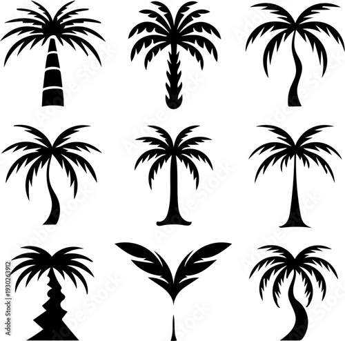 Set of Tropical Palm Tree Silhouettes Vector Collection Isolated on White Background