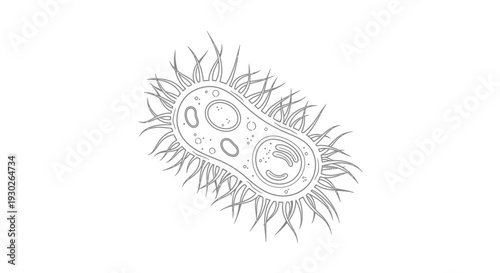 Microscopic Bacteria Cell Outline Drawing, Microorganism with Flagella, Scientific Illustration