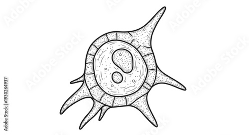 Microscopic organism with spiky protrusions, scientific illustration