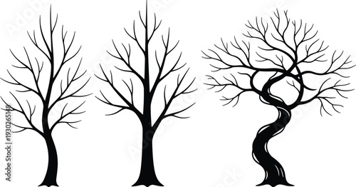 Set of leafless tree silhouettes with twisted branches isolated on white background, black winter forest vector illustration